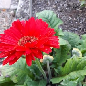 Meet your Posher, Maryann